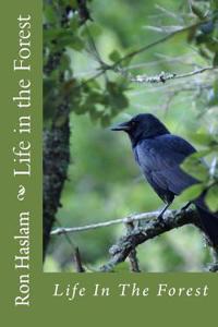 Life in the Forest