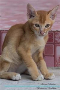 Thai Cat Affirmations Workbook Thai Cat Presents: Positive and Loving Affirmations Workbook. Includes: Mentoring Questions, Guidance, Supporting You.