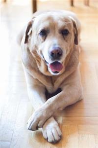 Happy Labrador Retriever Dog Journal