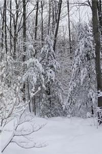 Winter Journal Snowy Woods Photo