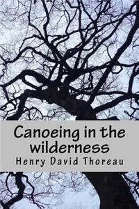 Canoeing in the Wilderness