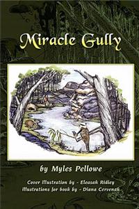 Miracle Gully