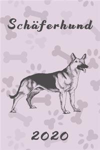 Schäferhund 2020