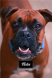 Boxer Dog Pup Puppy Doggie Notebook Bullet Journal Diary Composition Book Notepad - Waiting For Food