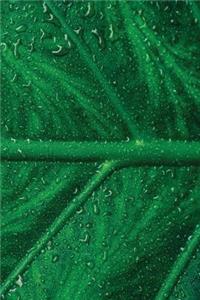 Dew Leaf Notebook
