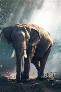 Elephant Notebook - Journal Gift for Cute Animal Lovers