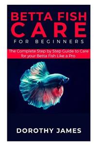 Betta Fish Care for Beginners