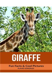 Giraffe: Fun Facts & Cool Pictures