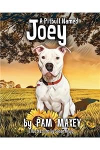 Pitbull Named Joey