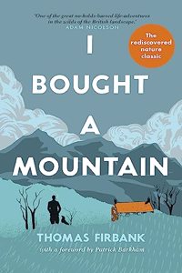 I Bought a Mountain