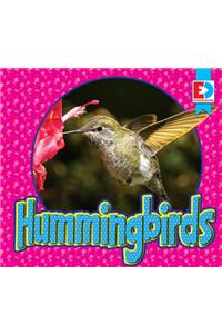 Hummingbirds