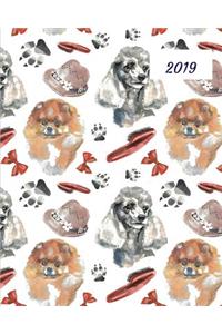 2019