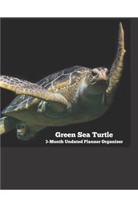 Green Sea Turtle 3-Month Undated Planner Organizer
