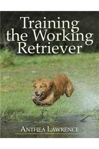 Training the Working Retriever
