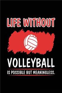 Life Without Volleyball Is Possible But Meaningless.