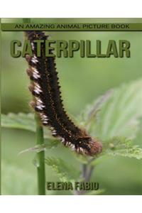 Children's Book: An Amazing Animal Picture Book about Caterpillar for Kids