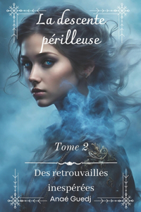 descente périlleuse - Tome 2