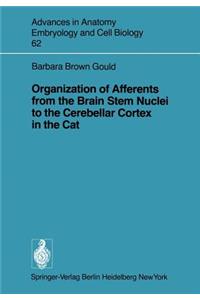 Organization of Afferents from the Brain Stem Nuclei to the Cerebellar Cortex in the Cat