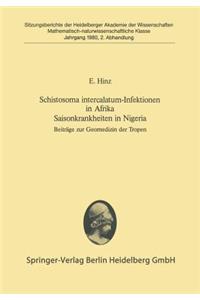 Schistosoma Intercalatum-Infektionen in Afrika Saisonkrankheiten in Nigeria