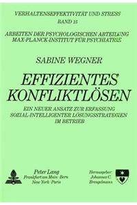 Effizientes Konfliktloesen