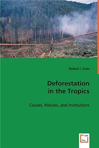 Deforestation in the Tropics
