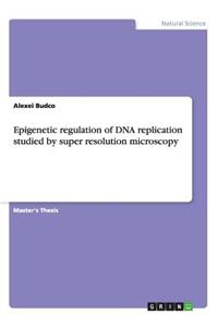 Epigenetic regulation of DNA replication studied by super resolution microscopy