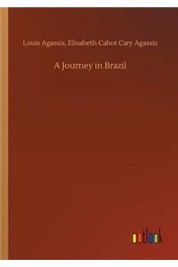 Journey in Brazil