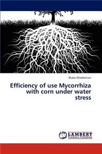 Efficiency of use Mycorrhiza with corn under water stress