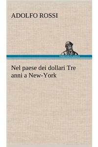 Nel paese dei dollari Tre anni a New-York