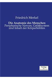 Die Anatomie des Menschen