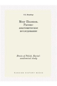 Brain of Polish. Racial-anatomical study