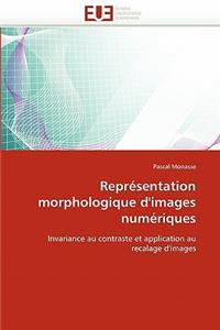 Représentation Morphologique d'Images Numériques