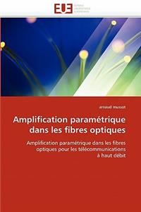 Amplification Paramétrique Dans Les Fibres Optiques