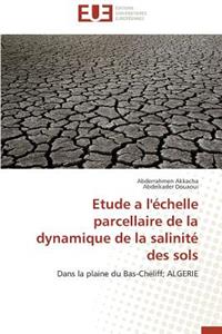 Etude a l'Échelle Parcellaire de la Dynamique de la Salinité Des Sols