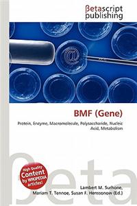Bmf (Gene)