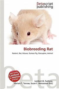 Biobreeding Rat