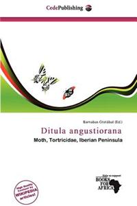 Ditula Angustiorana