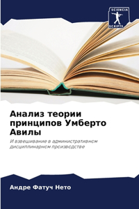 Анализ теории принципов Умберто Авилы