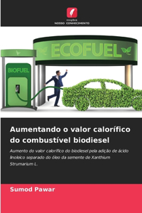 Aumentando o valor calorífico do combustível biodiesel