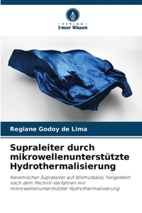 Supraleiter durch mikrowellenunterstützte Hydrothermalisierung