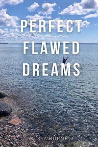 Perfect Flawed Dreams