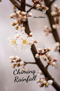 Chiming Rainfall
