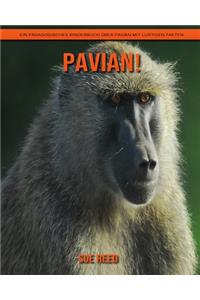 Pavian! Ein pädagogisches Kinderbuch über Pavian mit lustigen Fakten