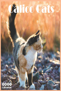 Calico Cats Calendar 2021