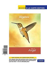 Algebra for College Students