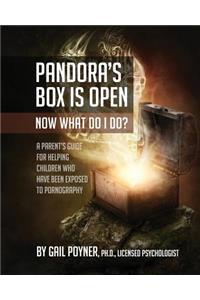 Pandora's Box Is Open Now What Do I Do?: A Parent's Guide for Helping Children Who Have Been Exposed to Pornography
