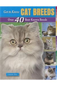 Get to Know Cat Breeds