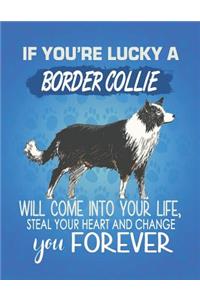 If You're Lucky A Border Collie Will Come Into Your Life, Steal Your Heart And Change You Forever