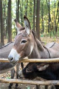 Donkey Dot Grid Journal