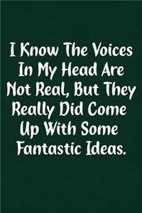 I Know the Voice in My Head Are Not Real, But They Really Did Come Up with Some Fantastic Ideas.